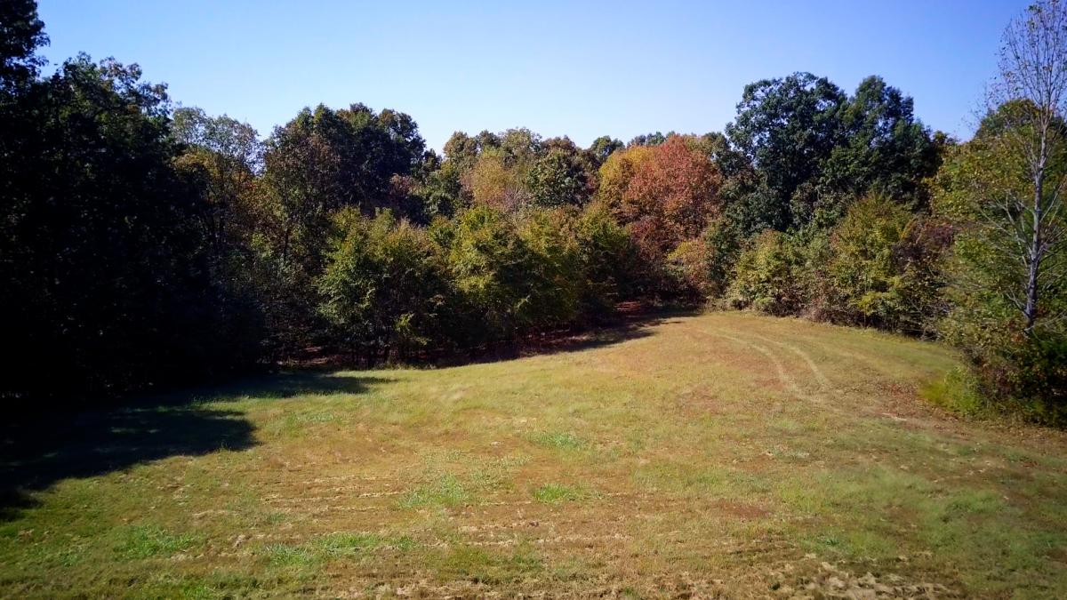60.81 ACRES OHIO CO, KY Kurtz Auction & Realty Co.